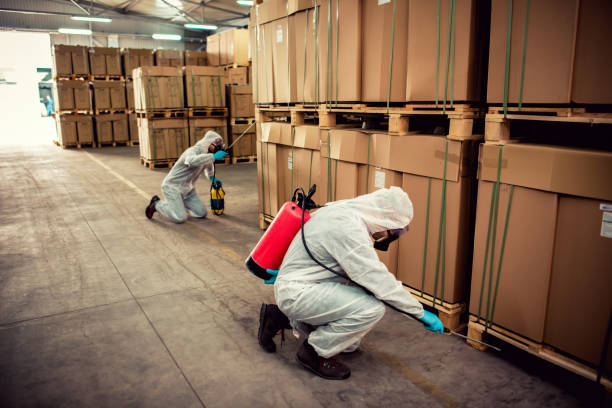 Best Local Pest Control Services  in Hopkins, SC