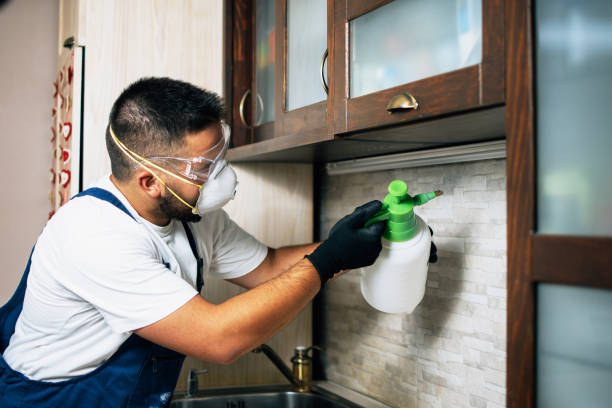 Best Cockroach Control Services  in Hopkins, SC