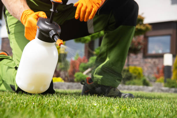 Best Best Pest Control Companies  in Hopkins, SC