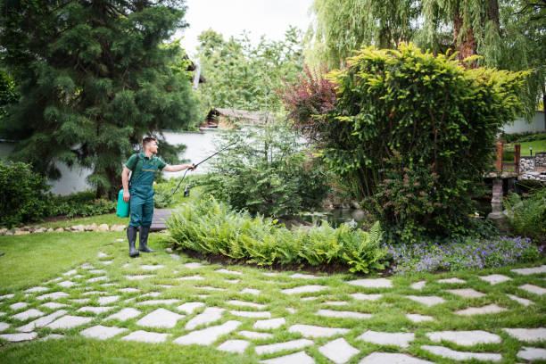 Best Ant Control Services  in Hopkins, SC