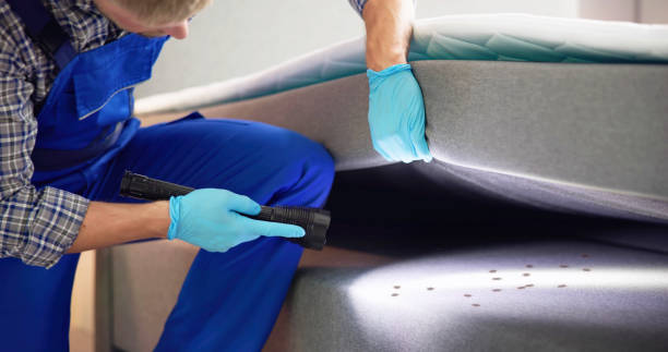 Best Pest Prevention Services  in Hopkins, SC
