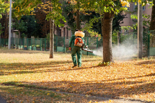 Best Pest Removal Services  in Hopkins, SC